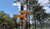 Tour Wandern Le Cannet-des-Maures - lac des Escarcets et lac des auredes  - Photo 4