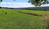 Tour Wandern Neupré - Rotheux - Photo 1