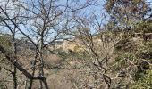 Tocht Stappen Buoux - Seguins-Sivergues 18.3.23 - Photo 12