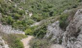 Trail Walking Évenos - Cap Gros en partant du col du corps de Garde - Photo 10