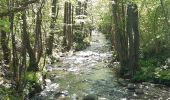 Randonnée Marche Stoumont - moulin du ruy . ruy . andrimont . cour . borgoumont . moulin du ruy - Photo 2