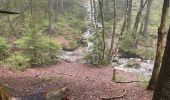 Tour Wandern Weismes - Brasserie Peak 10 Km - Photo 7