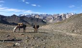 Percorso Marcia Névache - Vallée de la Clarée - Mont Thabor - Photo 12