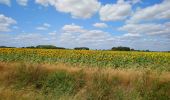 Tour Wandern Le Louroux - Le Louroux - boucle 1 - 20.9km 100m 4h45 (35mn) - 2019 07 28 - Photo 6