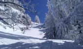 Tour Skiwanderen Corrençon-en-Vercors - tête chaudière et petite moucherolle - Photo 4