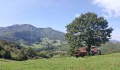 Percorso A piedi Chiusi della Verna - Alta Via dei Parchi: Tappa 25 - Photo 1