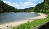 Tour Wandern Woll - SityTrail - Le Lac des Corbeaux - La Bresse - Photo 3