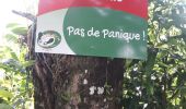 Tour Wandern Le Lorrain - 22 mai 22 Morne 22 km Lorrain  - Photo 10