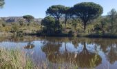 Excursión Senderismo Le Muy - Randonnée dans les vignes- Château du Rouet- réel - Photo 3