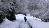 Trail Horseback riding Sazos - Vieilles Thermes de luz - Photo 1