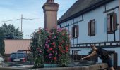 Tocht Stappen Eguisheim - Rando des cinq châteaux  - Photo 5