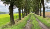 Tocht Stappen Pelt - De Wulp Hageven Grote Heide 24 km - Photo 16