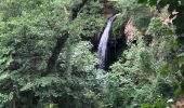 Excursión Senderismo Carcès - Promenade Chutes du Caramy et lac de Carcès  - Photo 8