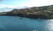 Excursión Senderismo Banyuls-sur-Mer - Banyuls Cerbère  - Photo 3