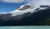 Trail Motorboat Unknown - Sortie Bateau Patagonie 5 Glacier Spegazzini - Photo 8