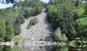 Trail Walking La Bresse - Le Hohneck et ses lacs d'altitude - Photo 18