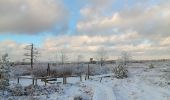 Randonnée Marche Spa - berinzenne entre forêt et fagne  - Photo 5