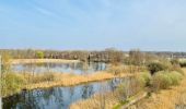 Trail Walking Zonhoven - De Wijers: Platwijers - Wijvenheide - Heidestrand (oranje) - Photo 1