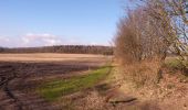 Percorso A piedi Winsen - Rundweg durch die Gemeinden Kisdorf und Winsen - Photo 8