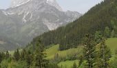 Tocht Te voet Admont - Wanderweg 77, Sonnenseitenweg - Photo 7