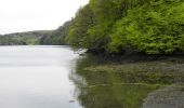 Trail On foot West Cork - Walk 5 - Lough Hyne (7km) - Photo 9