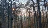 Trail Walking Hamoir - comblain la tour . hoyemont . oneux . comblain la tour - Photo 19