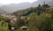 Tour Zu Fuß Careggine - Garfagnana Trekking - Tappa 3b - Photo 5