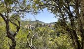 Trail Walking Montclus - montclus et bord de ceze - Photo 12