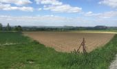 Randonnée Marche Binche - 35.912 Binche - Chemin des Terrils - Photo 2