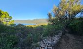 Excursión Senderismo Serra-di-Ferro - Serra di Ferro, plage de Cupabia A/R - Photo 5