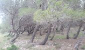 Tour Wandern Leucate - mon sentier des pêcheurs  - Photo 5