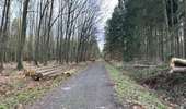Tour Wandern Welkenrath - Welkenraedt - Eupen gare à gare 24 km - Photo 12
