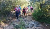 Trail On foot Tanneron - La chapelle de St Cassien des bois, le pont détruit et au fil de l'eau - Photo 14