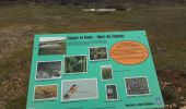 Trail Walking Viols-le-Fort - Viols le Fort chemin des tombes aven Vidal - Photo 9