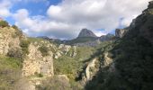 Trail Walking Gémenos - Col de Bertagne depuis l'espigoulier - Photo 7