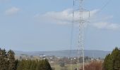 Tour Wandern La Roche-en-Ardenne - rando ornitho warempage 24/02/2021 - Photo 7