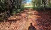 Trail Walking Coussey - de Coussey à Vouthon  - Photo 2