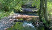 Tour Wandern Manhay - Moulin de Lafosse - Photo 7