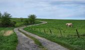 Trail Walking Doische - Balade de Doische à Foisches - Photo 19