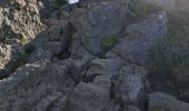 Tocht Stappen Mont-Dore - LE PUY DE SANCY PAR LE VAL DE COURRE ET LA TETE DE FLON  - Photo 12