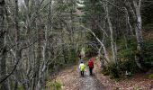 Trail On foot Glandage - 2024-04-16_Sucettes de Borne - Photo 7