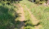 Trail Walking Grandfontaine - La Corbeille, col de Prayé - Photo 4