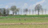 Tour Zu Fuß Ulflingen - Cornelysmillen Pfad - Photo 1