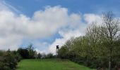 Tour Wandern Libin - rando redu  11-05-2023 - Photo 19
