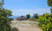 Tour Wandern Ollioules - Châteauvallon - Ollioules - Photo 15