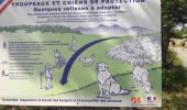 Trail Walking Val-Cenis - Bramans/fort de l'Esseillon - Photo 14