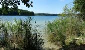 Tour Zu Fuß Schwarz - Rundweg Wummsee - Photo 1