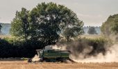 Tocht Te voet Rattelsdorf - Wanderweg A - Photo 9