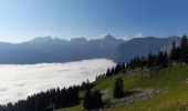 Tocht Stappen Le Reposoir - BARGY: COL D'ENCRENAZ - PETIT BARGY - TETE DES BECUS - Photo 3