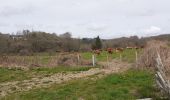 Randonnée Marche Sussac - circuit de Bonneval à Sussac - Photo 5